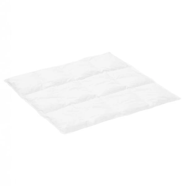 Alvi Outlast Thermovlies Einziehdecke 100x135 Cm Gegen Wärmestau - Zum Aktionspreis 1 Alvi Outlast Thermovlies Einziehdecke 100x135 Cm Gegen Wärmestau - Zum Aktionspreis