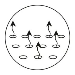 Alvi Lucia Duo Matratze 70 X 140 Cm Bezug Kochfest - Versandkostenfreie Lieferung 14 Alvi Lucia Duo Matratze 70 X 140 Cm Bezug Kochfest - Versandkostenfreie Lieferung -Baby Welt Verkauf vertikal 14